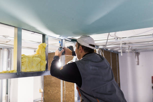 Best Insulation for Specific Applications in Viroqua, WI