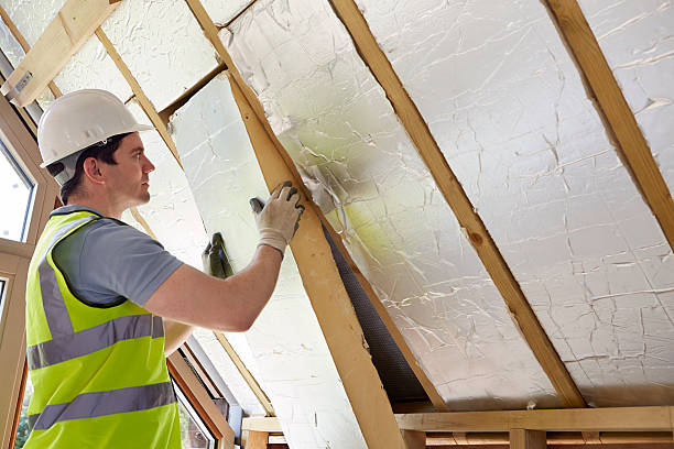 Best Insulation Maintenance and Repair in Viroqua, WI